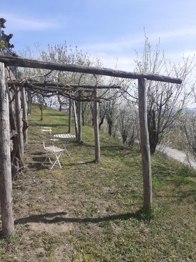 Casa Nebieu In Edificio Indipendente Nel Centro Di Monforte Монфорте-д'Альба Екстер'єр фото
